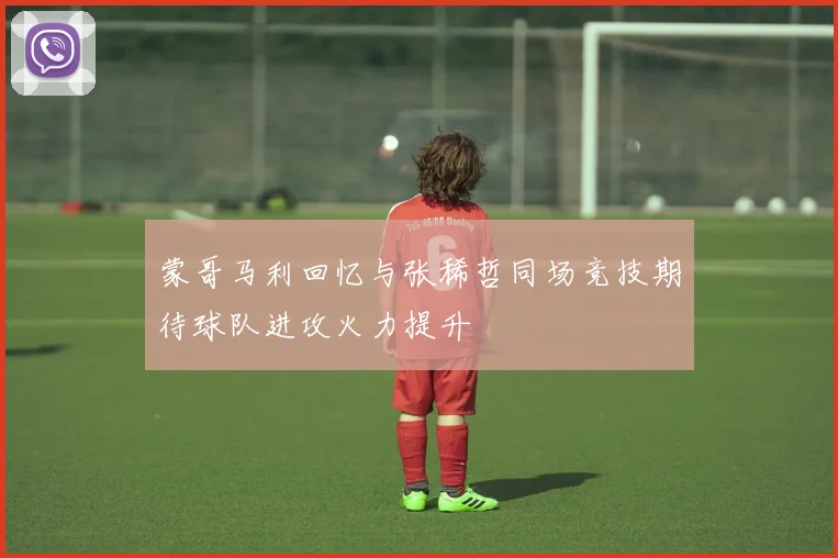 蒙哥马利回忆与张稀哲同场竞技期待球队进攻火力提升